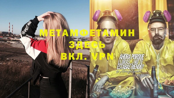 трава Аркадак