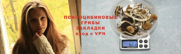 трава Аркадак