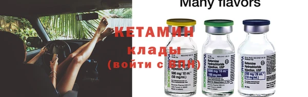 трава Аркадак