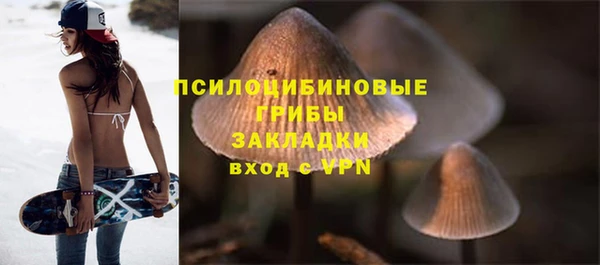 МДПВ Армянск
