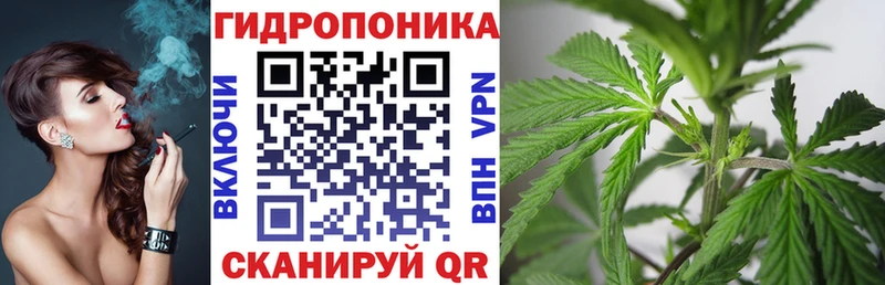 МАРИХУАНА OG Kush  закладки  Ленинск 